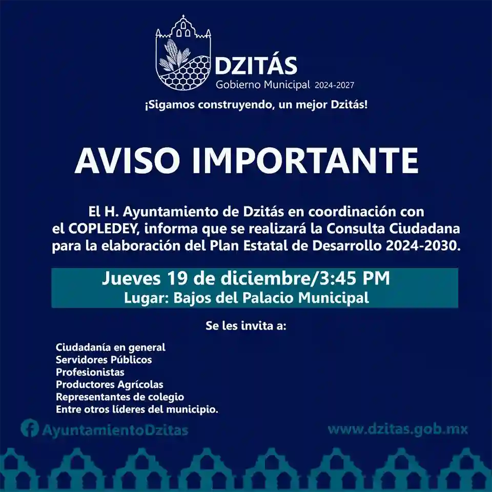 consulta ciudadana