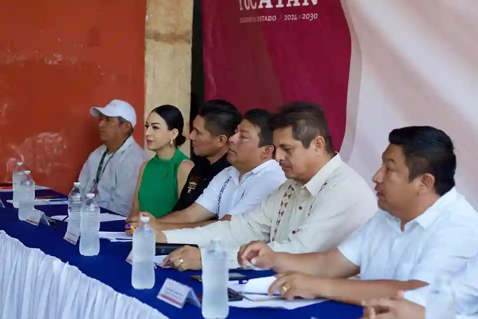 Foro de consulta Dzitás, Plan Estatal