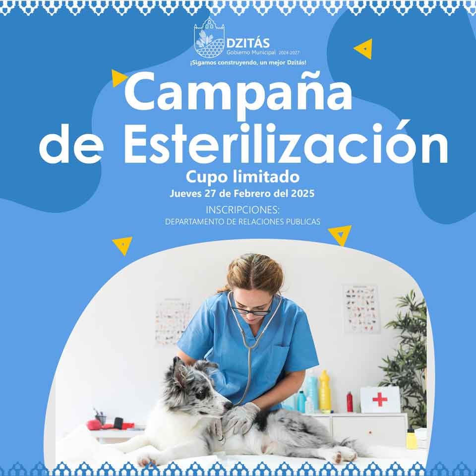 campaña esteilizacion