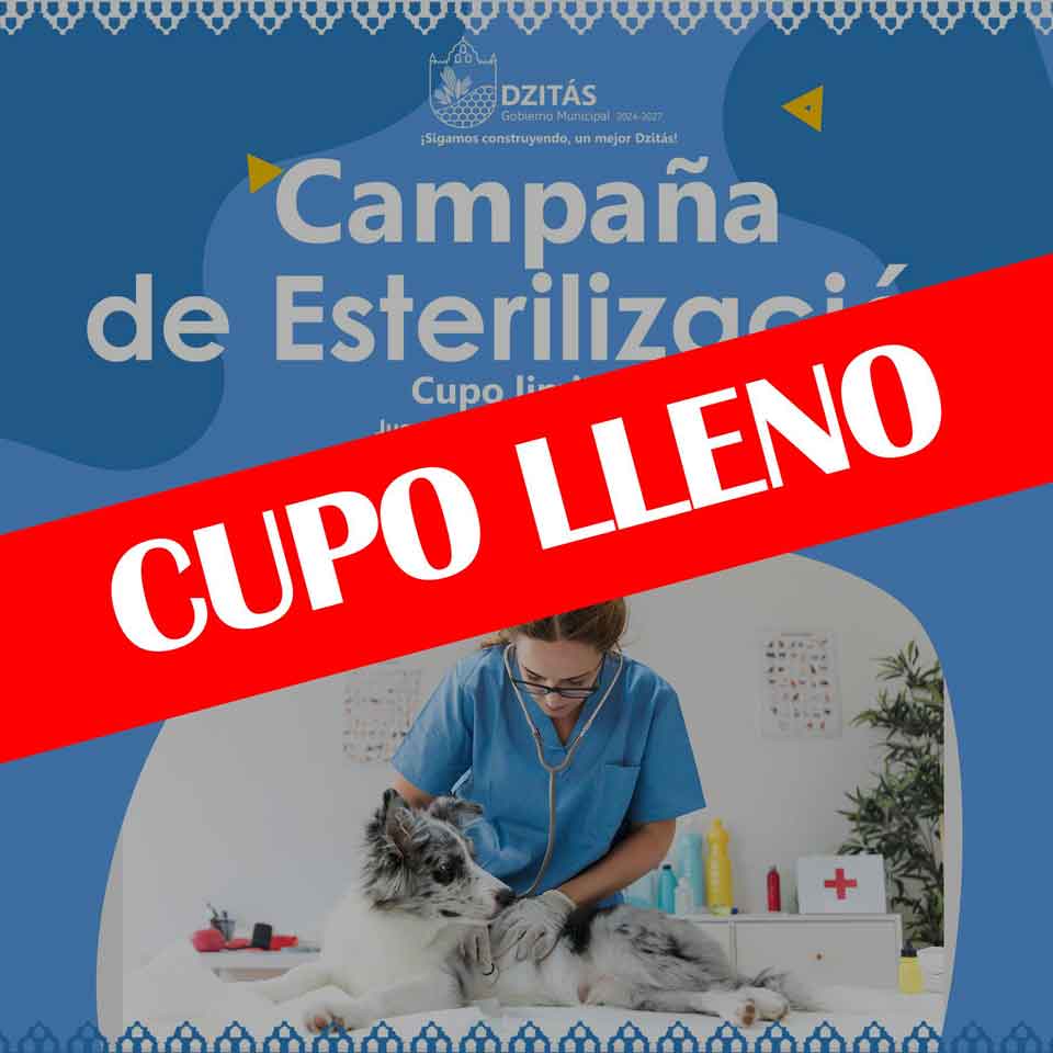 cupo lleno jornada de esterilizacion
