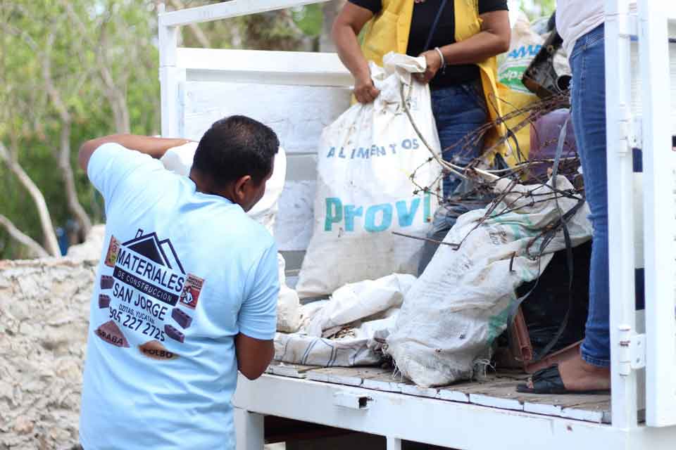 programa de descacharrizacion en Dzitás