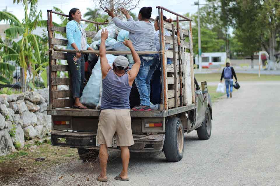 programa de descacharrizacion en Dzitás