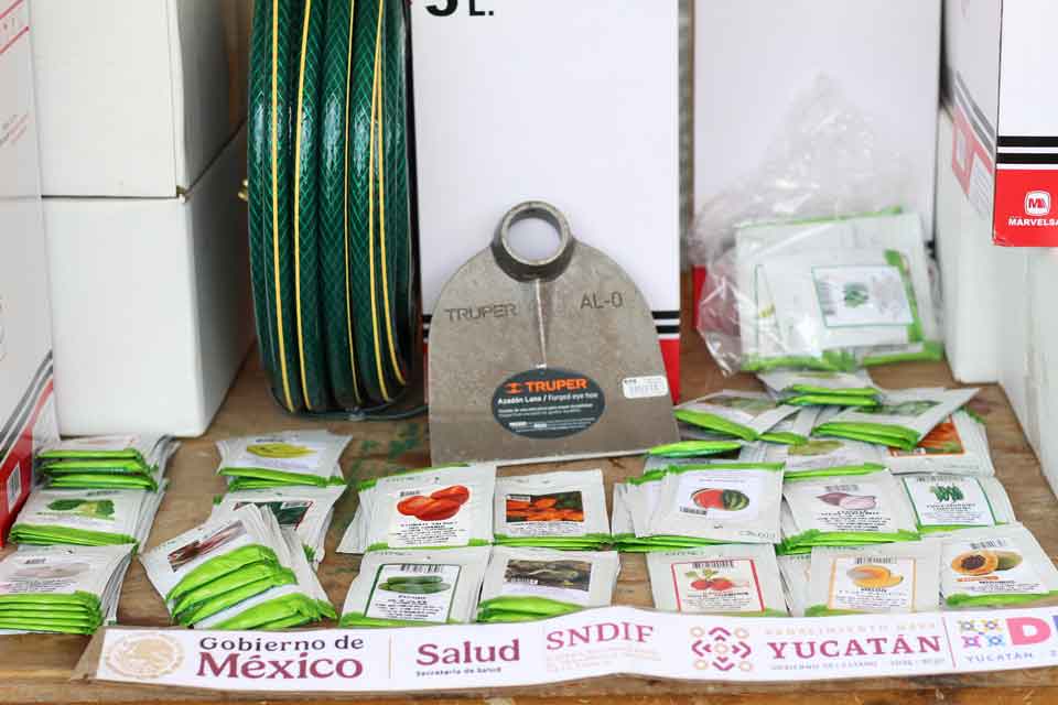 Entrega de Insumos Yaxché 6