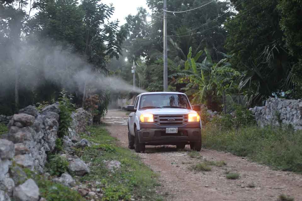fumigacion-dzitás