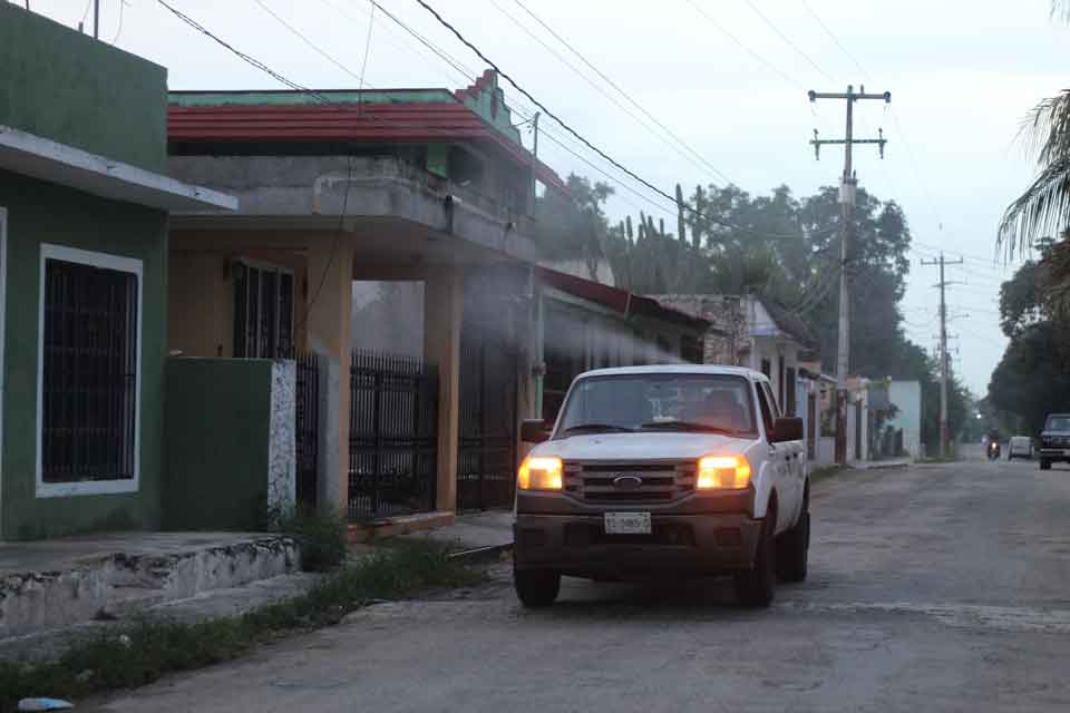 fumigacion-dzitás