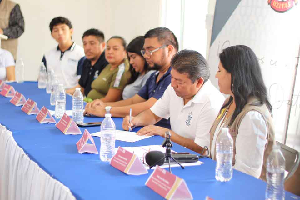 alianza por la educacion dzitas