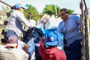 programa de descacharrizaciiion dzitas