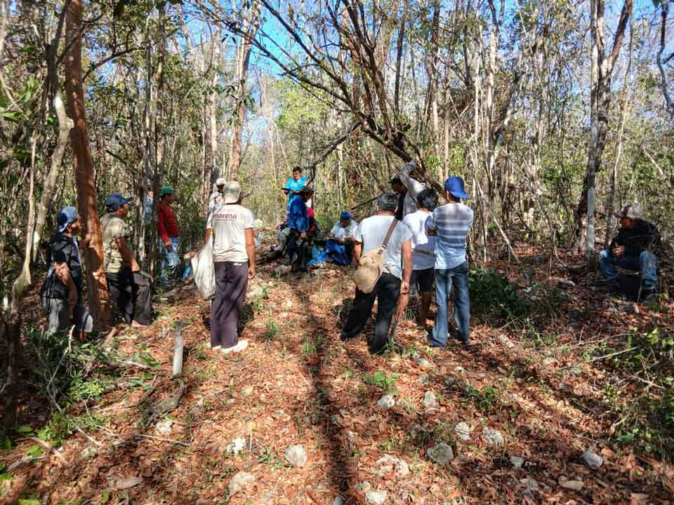 limpieza de la mensura de dzitás