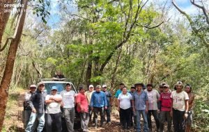 limpieza mensura dzitas