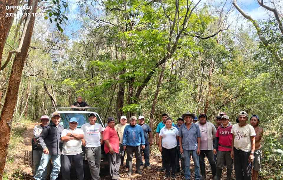 limpieza mensura dzitas