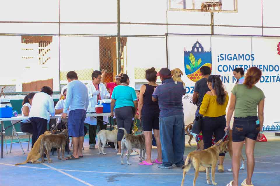 participacion ciudadana en la jornada antirrabica Dzitas