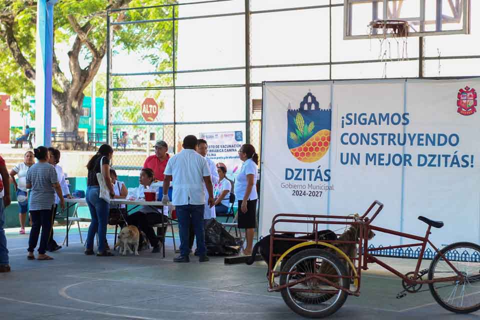 jornada de vacunación en dzitas